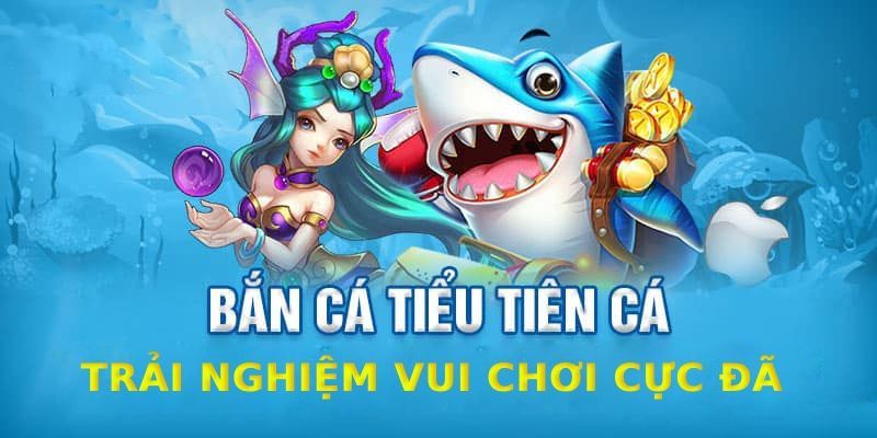 Bí quyết sử dụng đạn hiệu quả