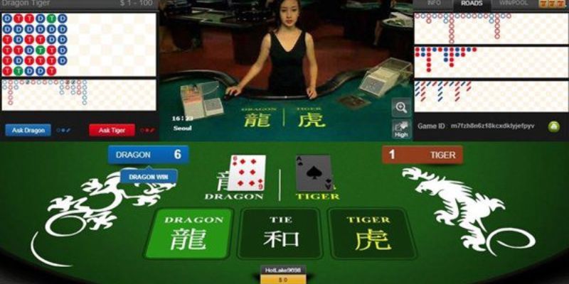 Các thuật ngữ hấp dẫn nên tham khảo khi chơi Rồng Hổ 77WIN